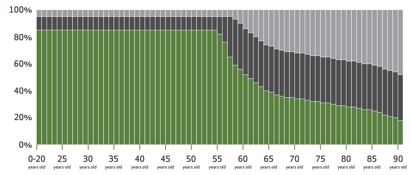 LifeCycle Process Asset Allocation